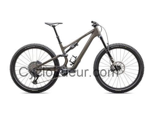 Specialized Stumpjumper Expert fiche technique et avis